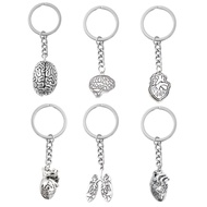 NICE Anatomical Brain Keychain Brain Organ Pendant Keychain 3D Neurologist for Key Ho