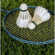Ekonomis Thailand Open K-Vision Paket Bulu Tangkis Badminton Spotv Spo