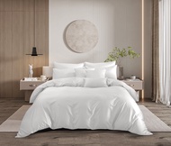 [ราคาโปร] Ai By Akemi ผ้าปูที่นอน และ ผ้านวม รุ่น ColorShine