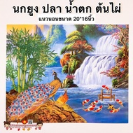 Auspicious Picture Ix Peacock Fish Waterfall Bamboo Tree Size 20 Serv16 Inches (51 41cm) Feng Shui A