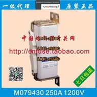 【可開統編】法國羅蘭FERRAZ熔斷器M079430 D72SG120V250QF 1200V 250A保險管