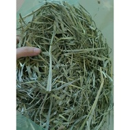 Timothy Hay First Cut＊US Premium Quality 1kg美国提摩西草一割晒干草/牧草 1kg【T02】