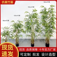 Simulation Bamboo Aoi Hotel Company Opening Evergreen Fake Green Plant Decoration Artificial Aoi Pot