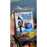 dedok buah june 9+++