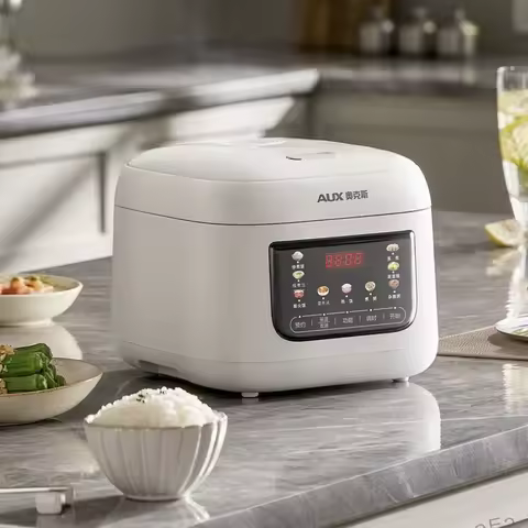 Mini Household Rice Cooker Multifunctional Electric Cooker Smart Reservation Non-Stick Inner Pot