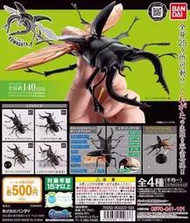 現貨 日本正版 BANDAI 拼裝大號 楸甲蟲 甲蟲 轉蛋  露天市集  全台最大的網路購物市集