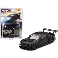 Mini GT Bentley Continental GT3 Test Car