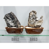Living Crystal Stone Decoration & Mountain KERIANG Crystal Stone.