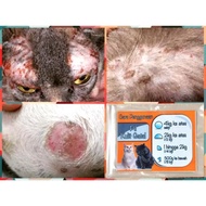 Rawatan Fungus Kurap Kucing Anjing