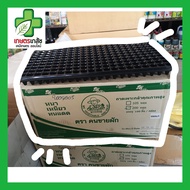 ถาดเพาะกล้า 200 หลุม 1 ลัง 100 ถาด