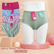 Women's Panties CD YN239 & YN248 Premium M L XL 3L 4L