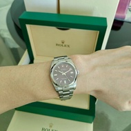 NEW 勞力士  Rolex Oyster Perpetual 116000