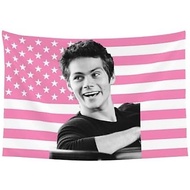 Tapestry Dylan O'Brien American Flag Wall art Banner Tapestries 60x40 inch