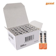 Bexel alkaline bulk AAA 48-cell battery (domestic)