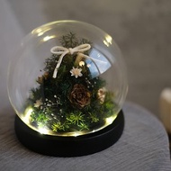 【永生雪松聖誕樹】玻璃罩 燈座款 日本進口永生花