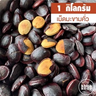 เม็ดมะขามคั่ว เมล็ดมะขามคั่ว (เม็ดใหญ่) คั่วเตาถ่านไฟอ่อนๆ ปริมาณ 1 กิโลกรัม