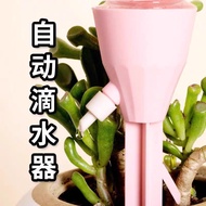 自動澆花滴水器10個