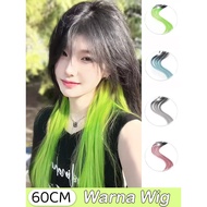 Hair Clip Color Wig Straight Hair Clip For Daily Party Wig Women Colorful Hair Extension Wig Clip Ex