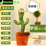 Talking Cactus Toy Funny Singing Mimicking Talking Toy Repeating Cactus Toy That Repeats What You Sa