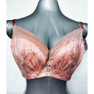 40D/90D PLUS SIZE BRA -WIRED