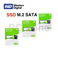 SSD ขนาดความจุ 3 ขนาด 120GB /240GB /480GB WD (เอสเอสดี) GREEN SATA M.2 2280
