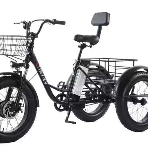 AA48V12AH 30AH 500W 20-Inch Pedal Electric Tricycle Battery Pedicab