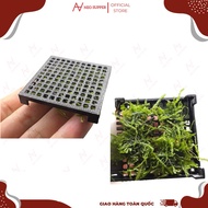 Moss Tie Blister, Moss Nursery Plastic Blister, Anti-Rust Plastic Blister| Neosupper Aqua