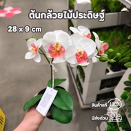 IKEA FEJKA Artificial Orchid Beautiful Realistic Tree Size 28 x 9 cm.