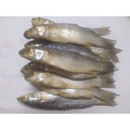 ikan kering belanak..