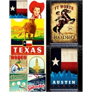 Souvenir Acrylic Fridge Magnet USA Texas E 2x3"