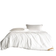 Warm Core Red Show Four Seasons Quilt Antibacterial SF2302-T001 SS2I