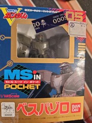 ms in pocket