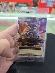 遊戲王  真紅 眼黑龍 試賣