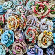 Gardenia shabby 1 gross