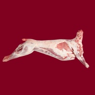 [SHCF] 14-25Kg New Zealand Australia Premium Whole Lamb Mutton Carcass Halal Kambing Gulung Seekor I