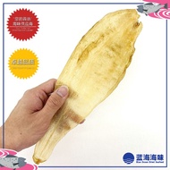 本地野生双牙花胶（3-5）│ Local Wild Dried Fish Maw (3-5)
