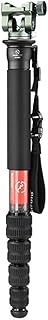 SUNWAYFOTO M3650C + PH-01G CF Monopod 36mm Top Section 10kg 22lb Max Load Carbon Fiber 1/4" / 3/8" S