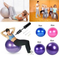 556585cm Optional Sports Yoga Balls Fitness Gym Balance Fitball Exercise Pilates Workout Massage Ball with Pump Indoor fitness