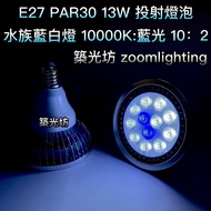 [Zhuguangfang] PAR30 12 Lights 13W E27 Projection Bulb 1,000k Ultra White Light: Blue Light Aquarium