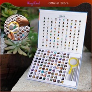 MagiDeal Geology GEM Kit for Kids Stemscience Education Gems Collection Geology