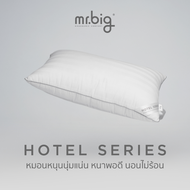 Hotel Series Tradition 19x29 in 1000g หมอนหนุน หลับสบาย ได้ระดับต่อเนื่องตลอดการนอน