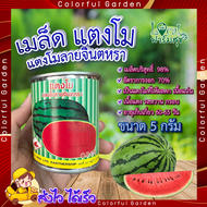 เมล็ดแตงโม แตงโมลายจินตหรา 5 กรัม 🍉 ตรารถถัง แตงโม เมล็ดพันธุ์  มล็ดพันธุ์แตงโม อัตราการงอกสูง