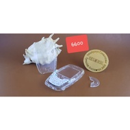 Nokia 6600 transparent keypad casing