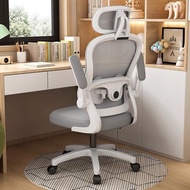 Q-8/Computer Chair Home Comfortable Long-Sitting Ergonomic Chair Office Chair Study Dormitory Chairs