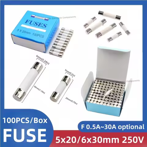 10/100pcs 5x20 6x30mm Fast blow Ceramic Fuse F 0.1A 0.25A 0.5A 1A 2A 3A 5A 6A 6.3A 8A 10A 15A 20A 30