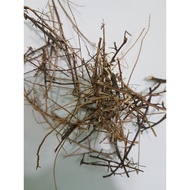 SIVANAR VEMBU | WIRY INDIGO | INDIGOFERA ASPALATHOIDES | - 50G