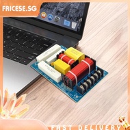 [fricese.sg] 200W 2 Way Speaker Frequency Dividers DIY MKP Capacitor for 10inch Speakers