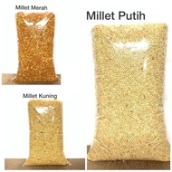 TERLARIS Milet 25KG Putih Kuning Merah Milput Pakan Burung KONSLET dan GACOR Pakan burung lovebird p
