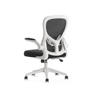 HBADA Office Chair with Lumbar Support Adjustment and Flip-up Arms