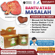 Obat Kanker Hati Paling Ampuh Tumor Hati Tanpa Operasi Penyakit Kanker Dan Tumor Liver Karsinoma Hep